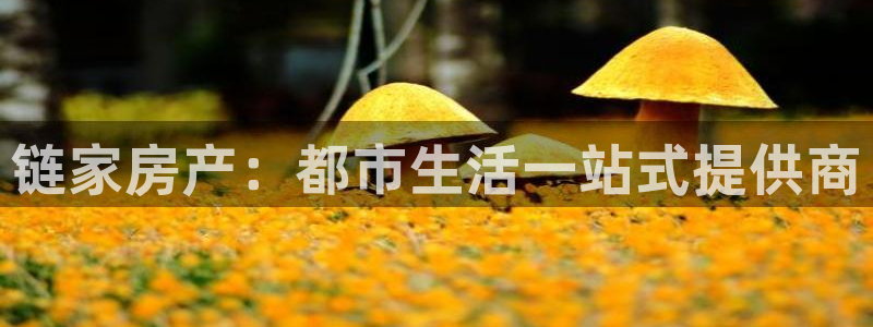 和记官网客户端