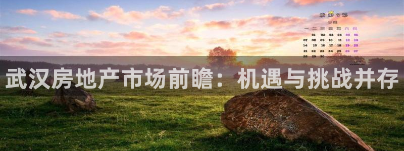 和记官网登录入口：武汉房地产市场前瞻：机遇与挑战并存