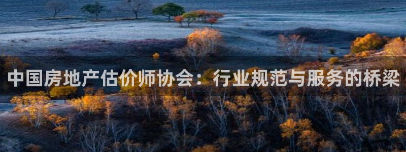 和记手机版官网：中国房地产估价师协会：行业规范与服务的桥梁