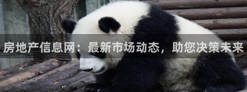 和记黄埔武汉官网：房地产信息网：最新市场动态，助您决策未来