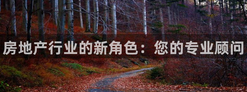 白云 和记黄埔官网电话：房地产行业的新角色：您的专业顾问