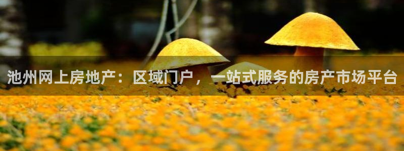 和记娱乐场所官网：池州网上房地产：区域门户，一站式服务的房产