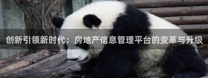 澳门和记官网娱乐场：创新引领新时代：房地产信息管理平台的变革