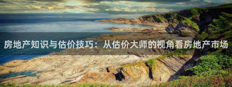 和记娱真好h88285官网：房地产知识与估价技巧：从估价大师