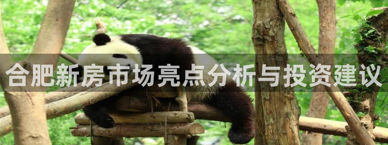 和记黄埔上海官网：合肥新房市场亮点分析与投资建议
