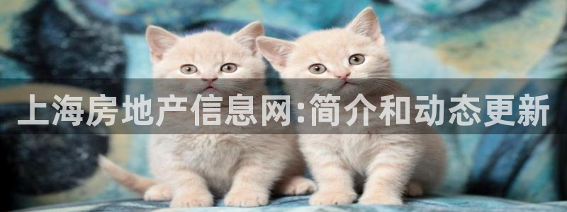 和记官网ap：上海房地产信息网:简介和动态更新