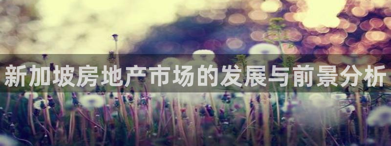 和记3香港 官网：新加坡房地产市场的发展与前景分析