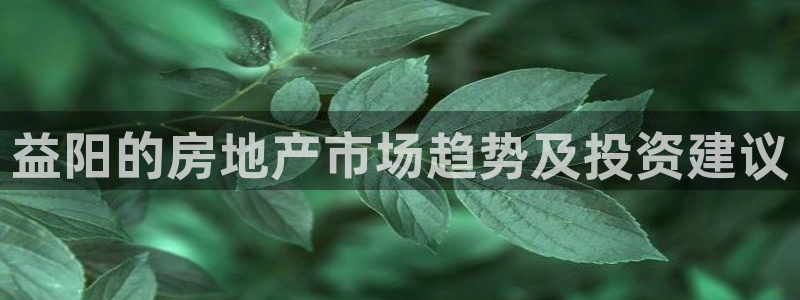 和记黄埔 官网：益阳的房地产市场趋势及投资建议