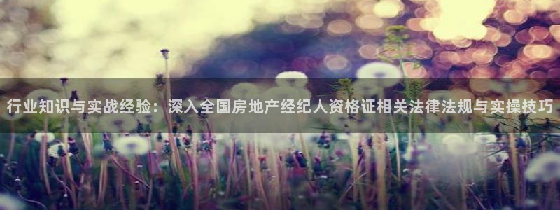 和记官网客服app：行业知识与实战经验：深入全国房地产经纪人