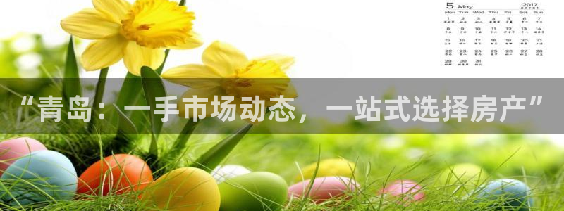 和记app官网：“青岛：一手市场动态，一站式选择房产”