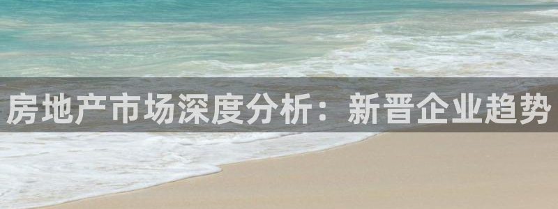 和记国际电讯官网：房地产市场深度分析：新晋企业趋势