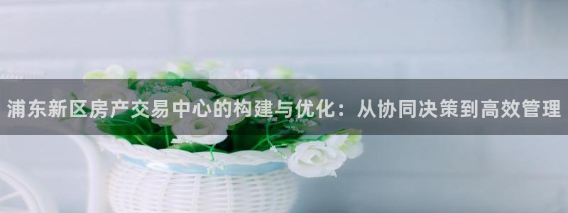 和记h88官网登陆：浦东新区房产交易中心的构建与优化：从协同