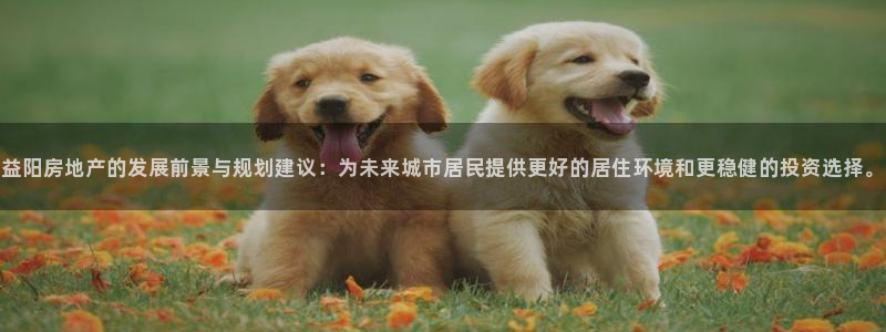 和记国际官网官网：益阳房地产的发展前景与规划建议：为未来城市