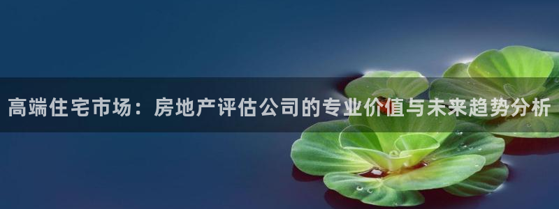 和记娱乐怡情博官网：高端住宅市场：房地产评估公司的专业价值与
