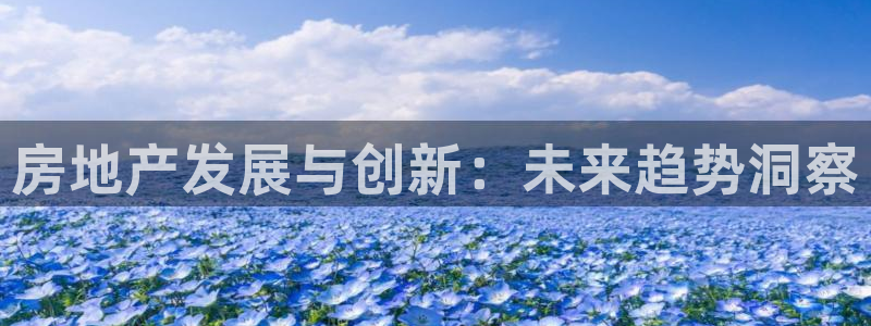 和记中国官网：房地产发展与创新：未来趋势洞察