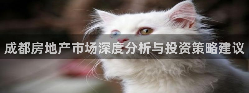 长江和记集团官网