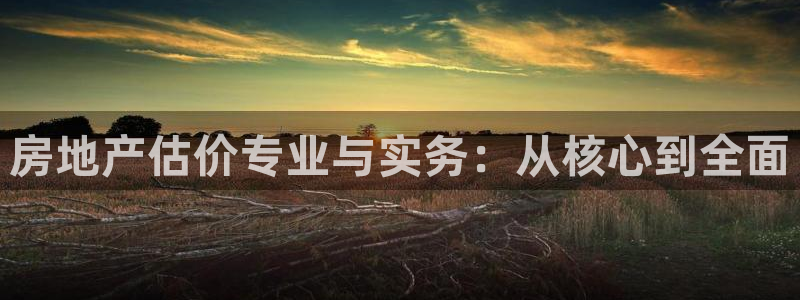 和记官网注册：房地产估价专业与实务：从核心到全面