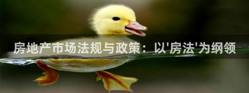 和记国际官网官网：房地产市场法规与政策：以\'房法\'为纲领