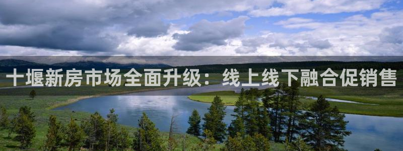 小金库钱包app下载官网和记：十堰新房市场全面升级：线上线下