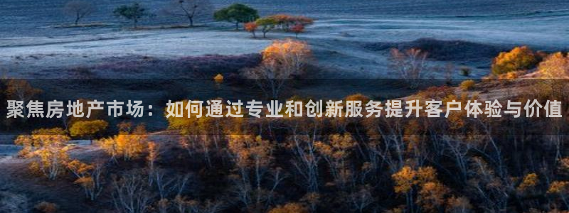 和记港口信托官网：聚焦房地产市场：如何通过专业和创新服务提升