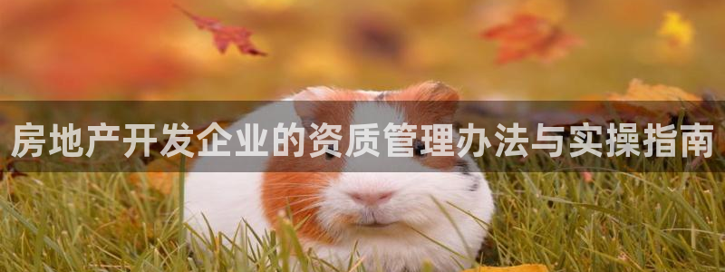 和记3香港 官网：房地产开发企业的资质管理办法与实操指南