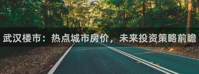 香港和记黄埔官网：武汉楼市：热点城市房价，未来投资策略前瞻