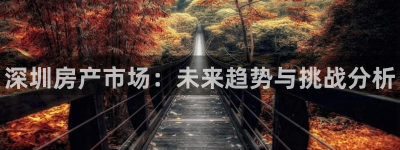 和记娱等级h88285官网：深圳房产市场：未来趋势与挑战分析