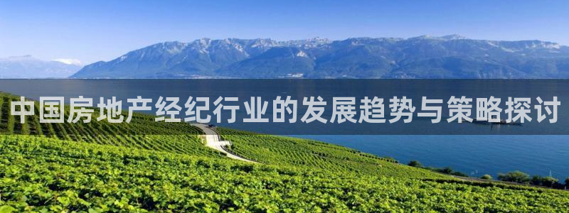 和记官网注册：中国房地产经纪行业的发展趋势与策略探讨