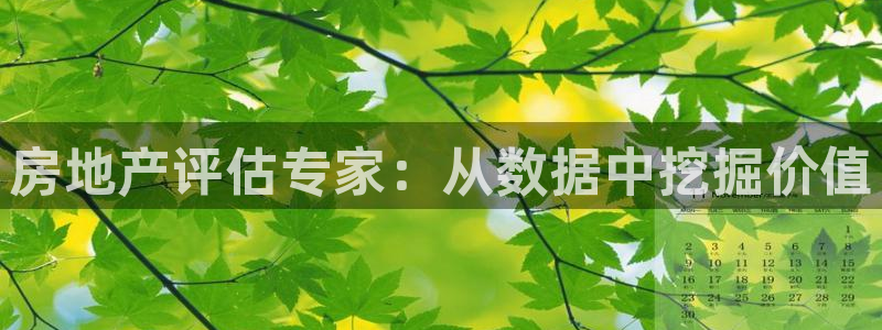白云 和记黄埔官网电话：房地产评估专家：从数据中挖掘价值