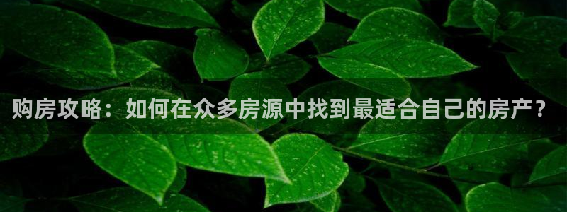 和记怡情官网电话：购房攻略：如何在众多房源中找到最适合自己的