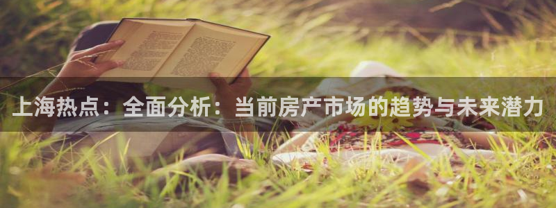 和记官网入口：上海热点：全面分析：当前房产市场的趋势与未来潜