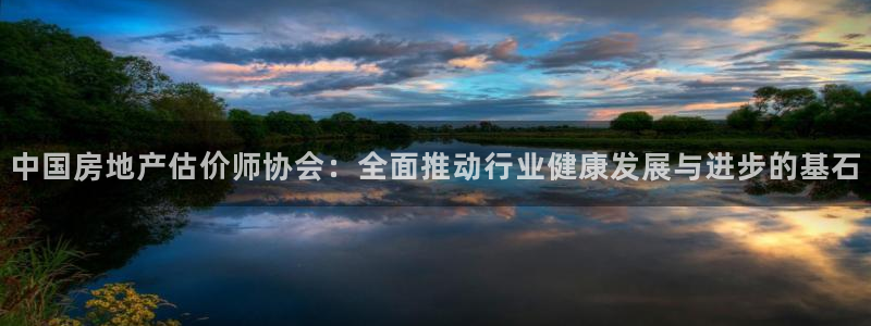 澳门和记平台官网：中国房地产估价师协会：全面推动行业健康发展