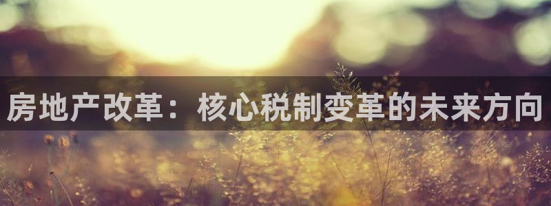 和黄记官网：房地产改革：核心税制变革的未来方向