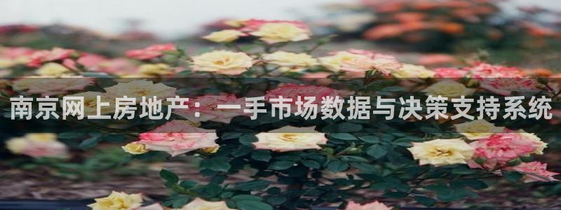 澳门3和记官网：南京网上房地产：一手市场数据与决策支持系统