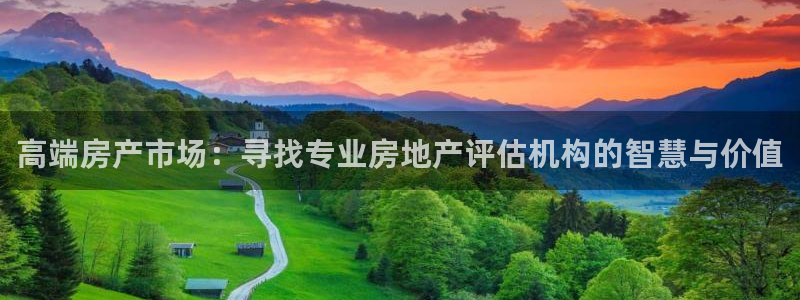 小金库钱包app下载官网和记：高端房产市场：寻找专业房地产评