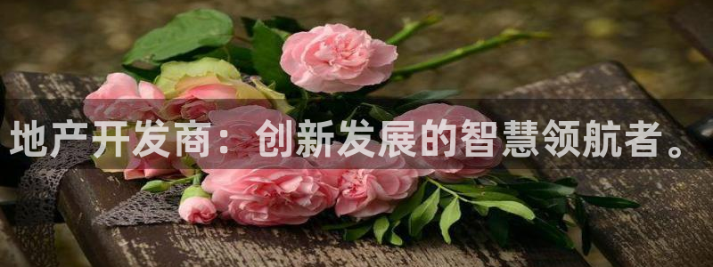 缅甸和记国际官网：地产开发商：创新发展的智慧领航者。