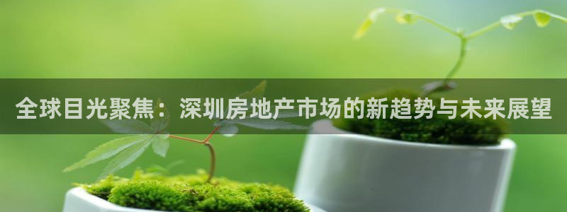 和记3hk官网：全球目光聚焦：深圳房地产市场的新趋势与未来展