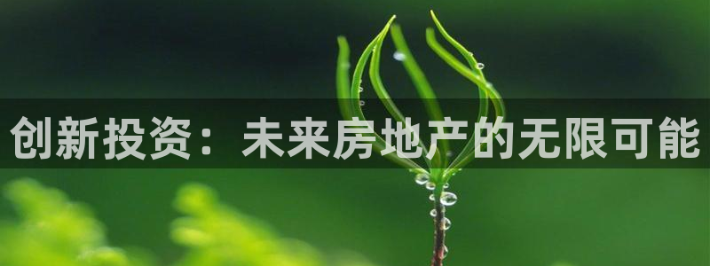 和记3国际万能卡官网：创新投资：未来房地产的无限可能