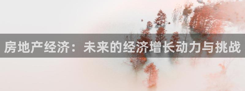 香港和记电讯官网：房地产经济：未来的经济增长动力与挑战