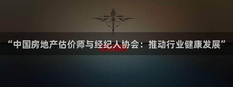和记h188怡情官网：“中国房地产估价师与经纪人协会：推动行