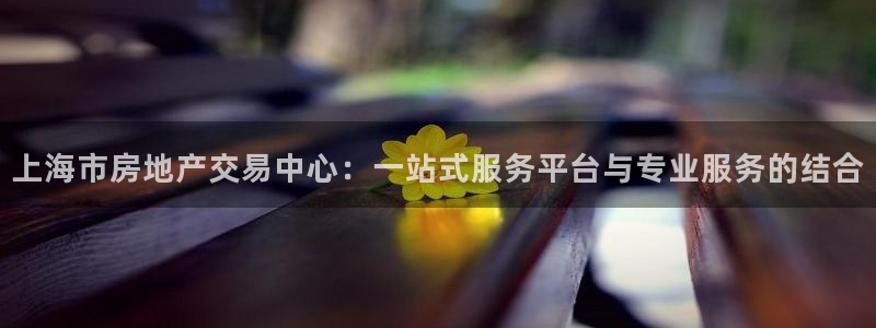 和记官网开户：上海市房地产交易中心：一站式服务平台与专业服务