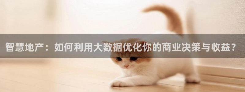 和记官网和记：智慧地产：如何利用大数据优化你的商业决策与收益