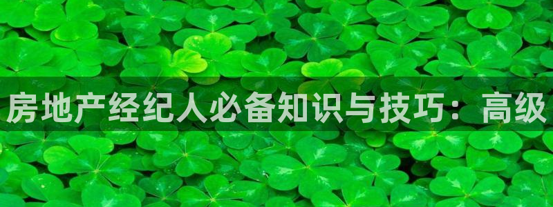 武汉和记黄埔官网