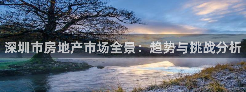 hgc和记官网：深圳市房地产市场全景：趋势与挑战分析