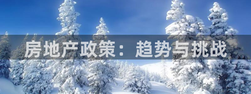 澳门和记平台官网：房地产政策：趋势与挑战