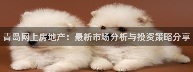 和记家家加盟官网：青岛网上房地产：最新市场分析与投资策略分享