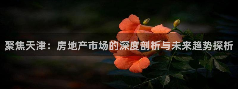 和记h188怡情官网：聚焦天津：房地产市场的深度剖析与未来趋