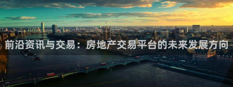 和记黄埔药业官网：前沿资讯与交易：房地产交易平台的未来发展方