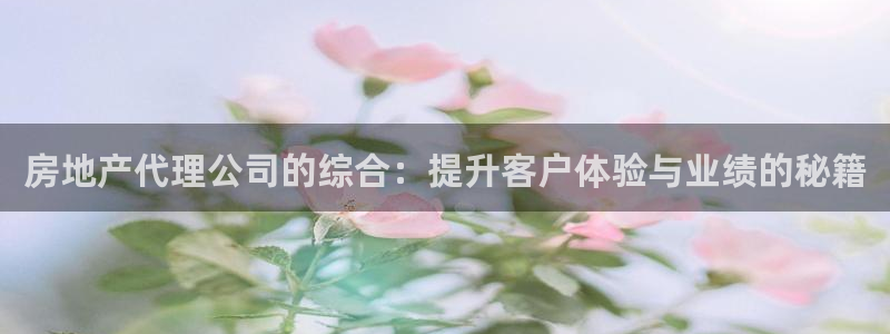 和记手机版官网：房地产代理公司的综合：提升客户体验与业绩的秘