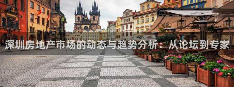 和记官网亚洲唯一官网：深圳房地产市场的动态与趋势分析：从论坛